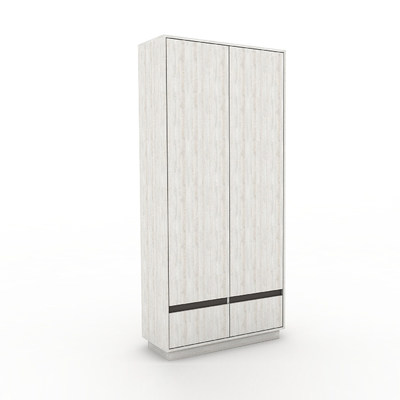 Шкаф Скара-201ip современный для прихожей - фото 1 home