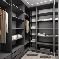 Гардеробная Титан-234aj минимализм для прихожей - фото 6 small