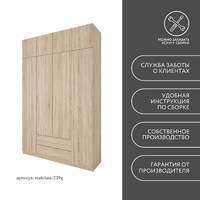 Шкаф Mebikea-239g минимализм для прихожей и спальни - фото 9 small