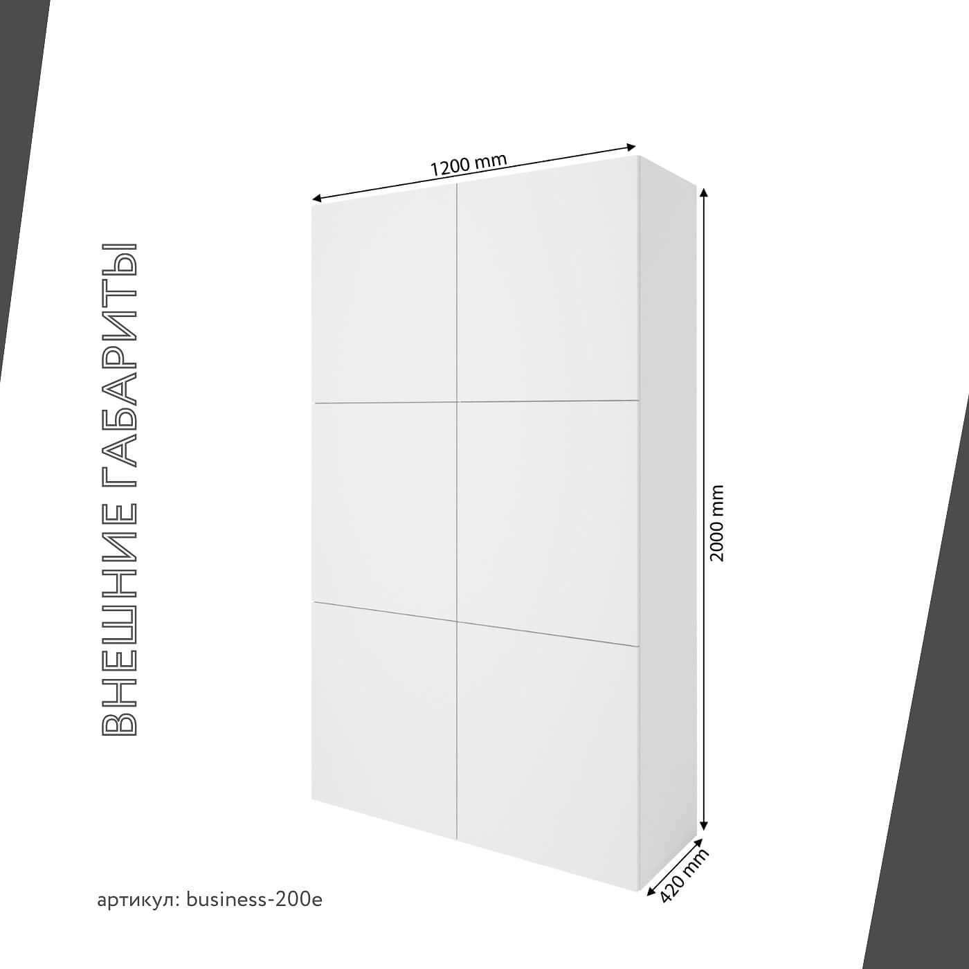 Шкаф Бизнес-200e минимализм для офиса и спальни - фото 3 large
