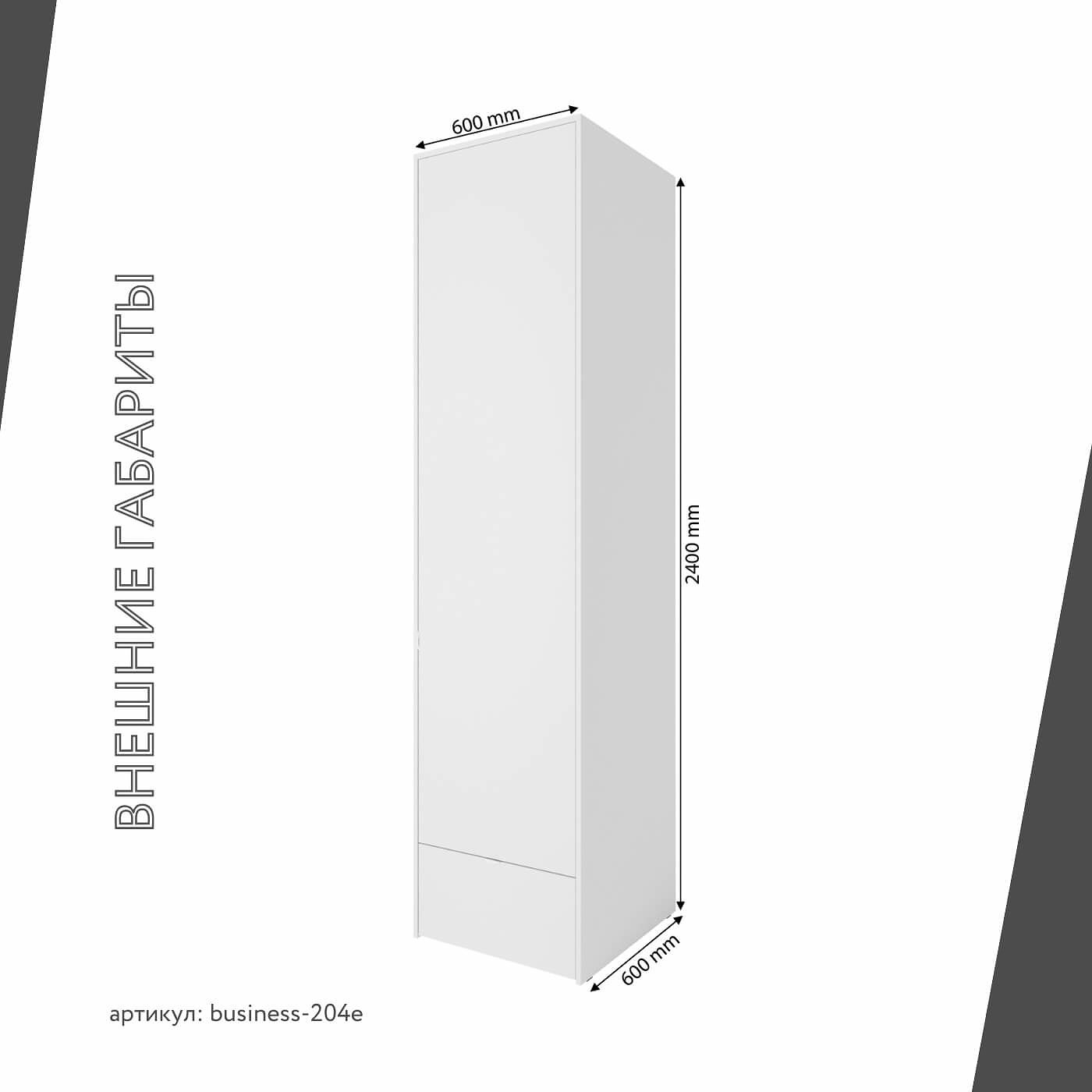 Шкаф Бизнес-204e минимализм для офиса и спальни - фото 3 large