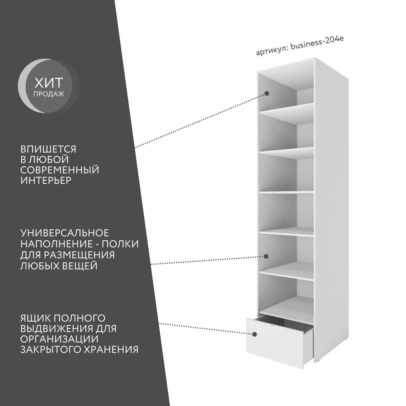 Шкаф Бизнес-204e минимализм для офиса и спальни - фото 2 large