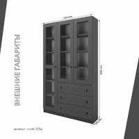 Шкаф-витрина Рустик-225aj скандинавский для гостиной и спальни - фото 3 small