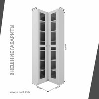 Шкаф-витрина Рустик-250e скандинавский для гостиной и спальни - фото 3 small
