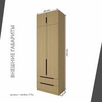 Шкаф Mebikea-211bj минимализм для прихожей и спальни - фото 3 small